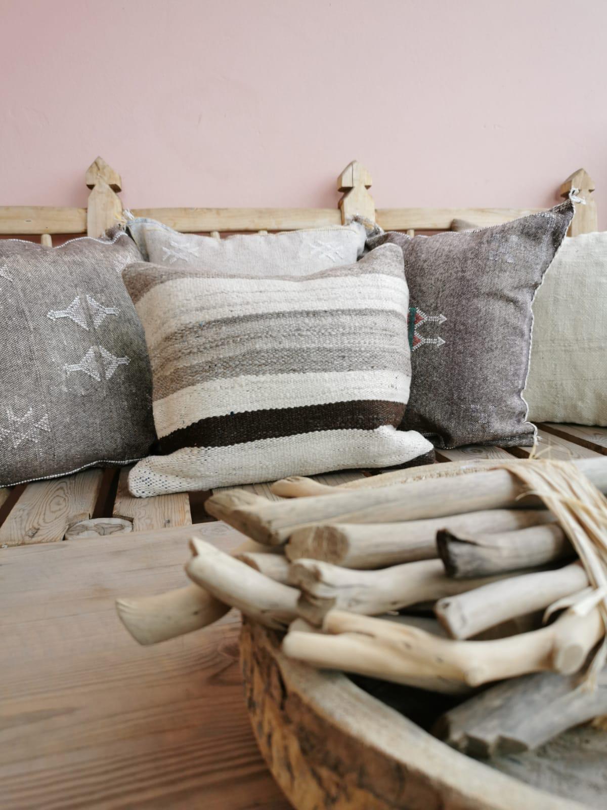 Housse de coussin soie végétale d'Aloe vera
