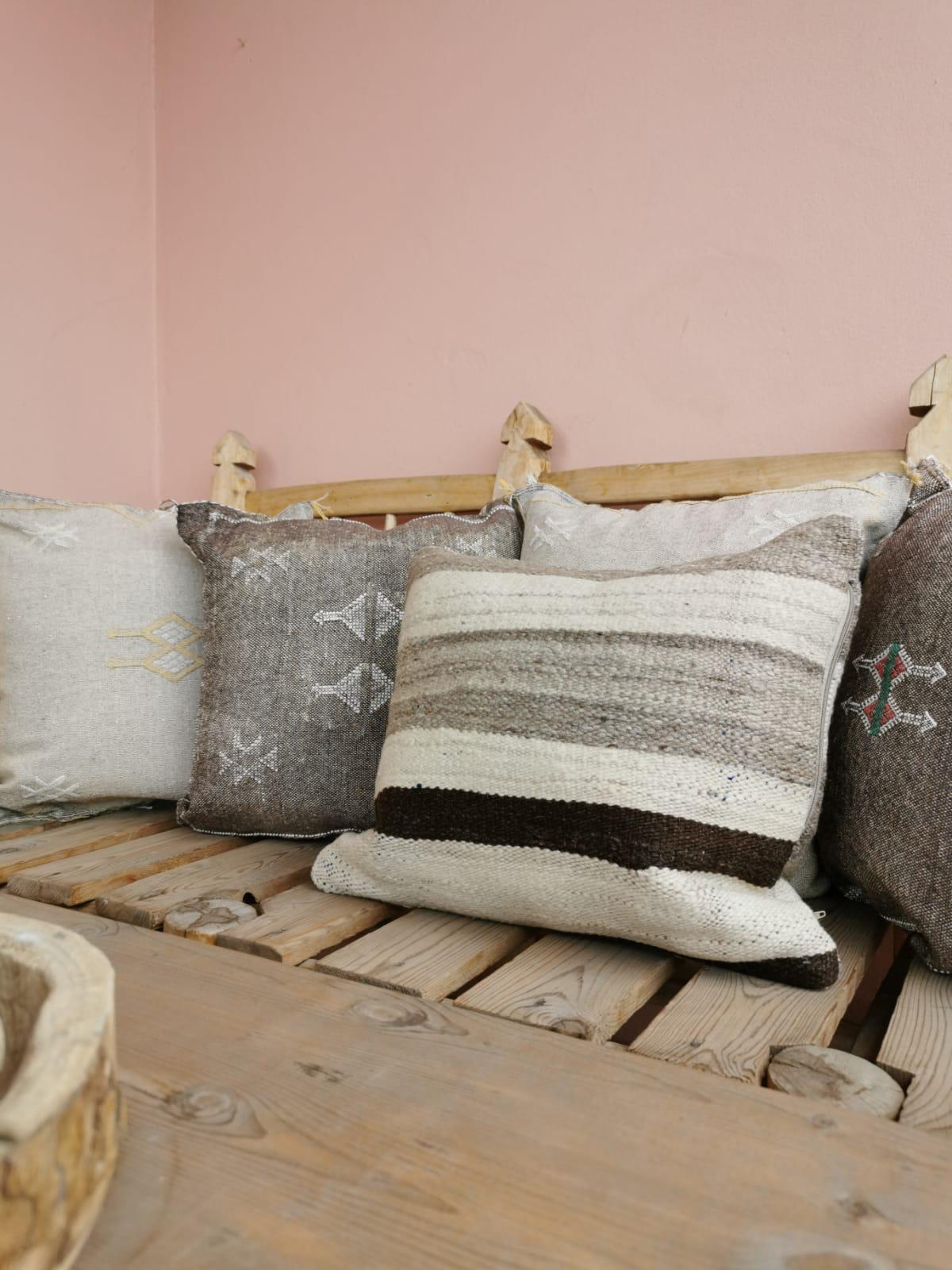 Housse de coussin soie végétale d'Aloe vera
